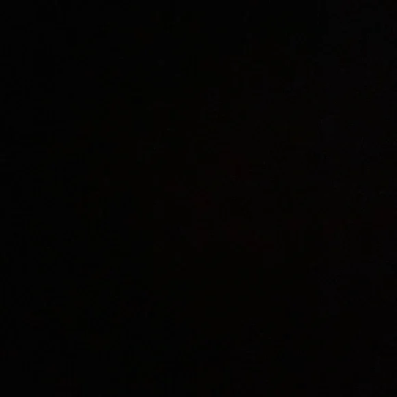 Tan coat - Picture 4 of 4